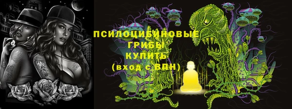 2c-b Богданович