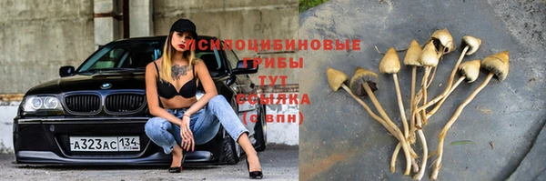 PSILOCYBIN Богородск