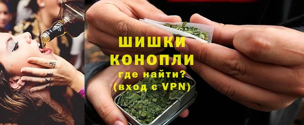 PSILOCYBIN Богородск